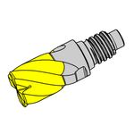 DG.R
