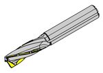 DM30