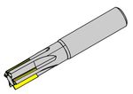 DM25