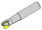 DM33