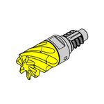 DGM.7.10.1000.02.0 (Metric)