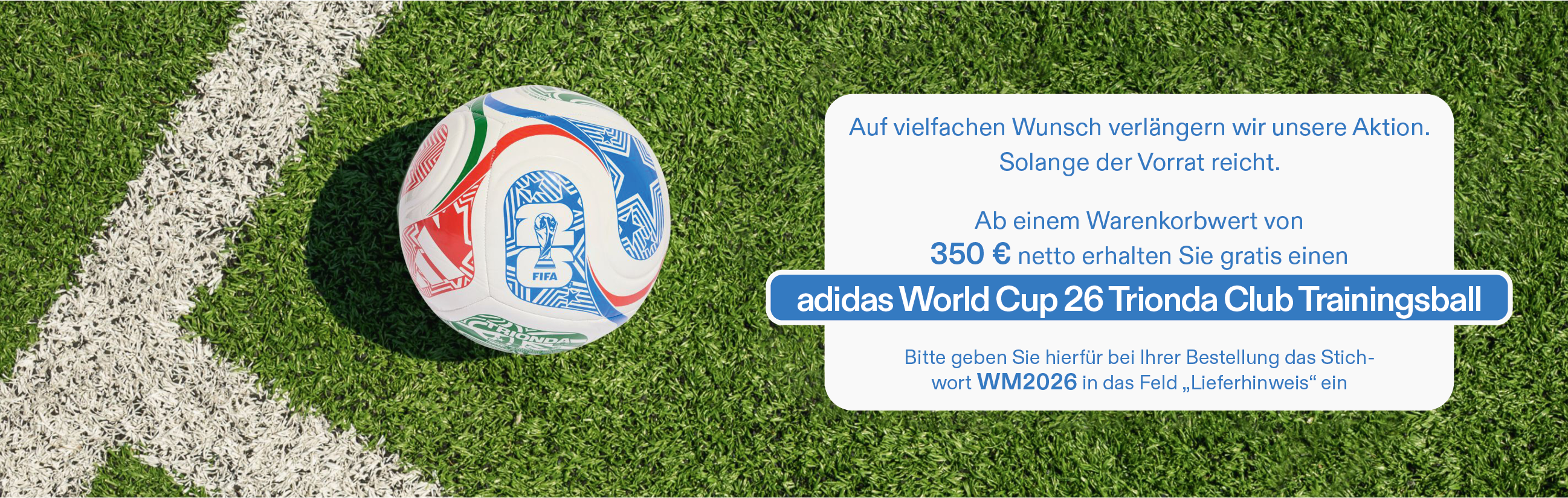 WM-Fußball-Banner