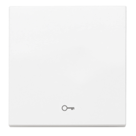 Plus 55 Wippe weiß mit Symbol Schlüssel WDTR00181WH-EU1