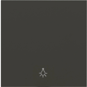 Plus 55 Wippe anthrazit mit Symbol Licht