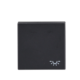 Jung Wippe mit Symbol "Licht" graphitschwarz matt A590LSWM