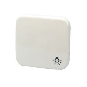 BJ Wippe Symbol "Licht" 2520 LI-212