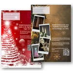 2 Versionen eltric Flyer in Niederländisch