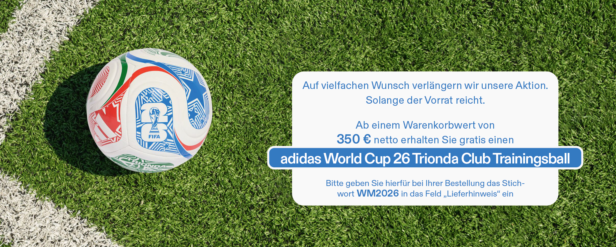 WM-Fußball-Banner