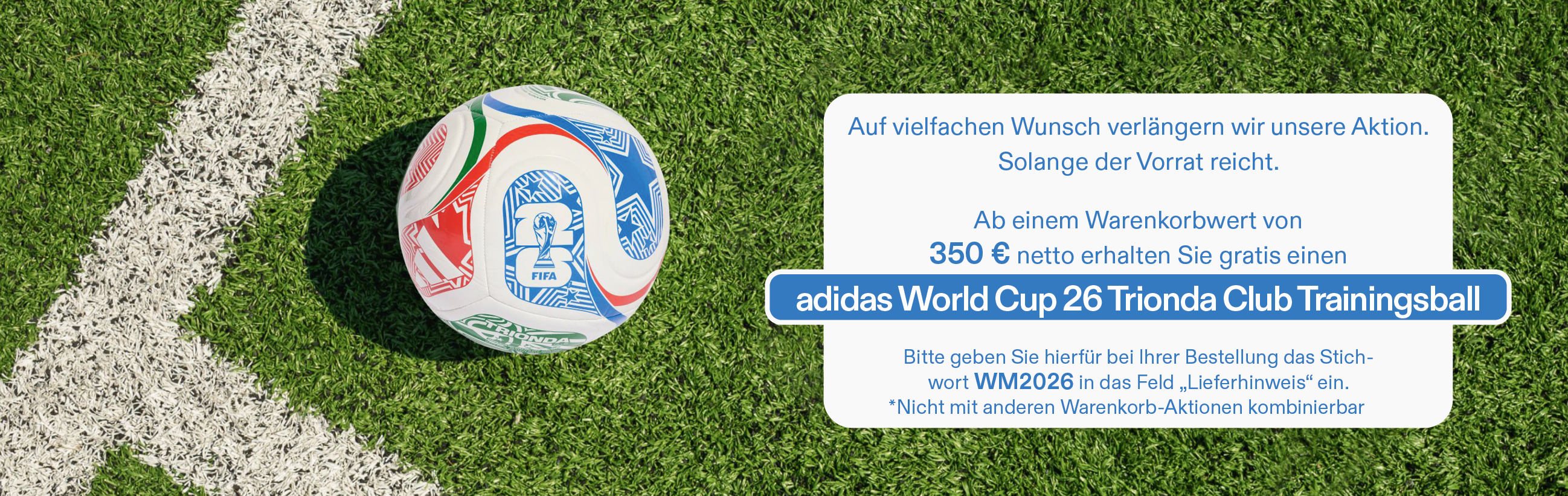 WM_Fußball-Aktion_Desktop