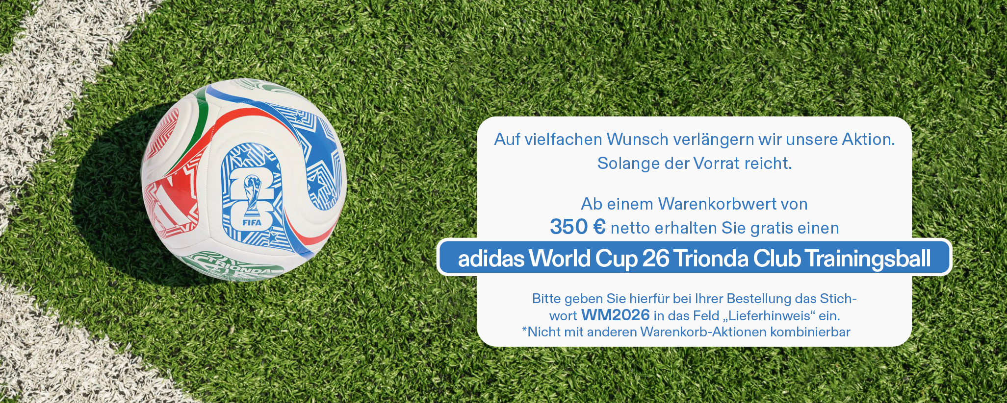 WM_Fußball-Aktion_Tablet