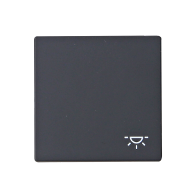 BJ Wippe mit Symbol Licht anthrazit 2520 LI-81