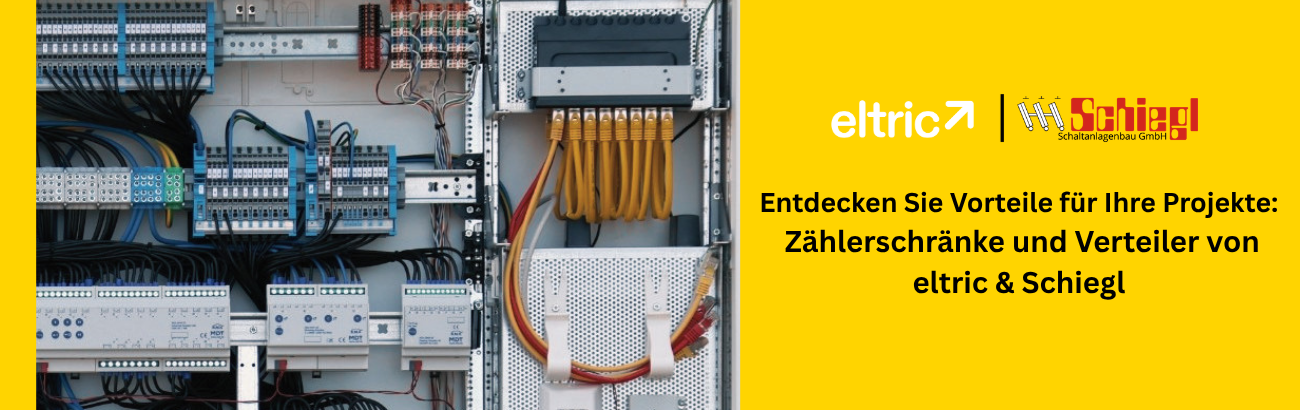 eltric X Schiegl