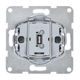 Plus 55 Kontrollausschalter 2-polig 16A Einsatz WDTM01442NC-EU1