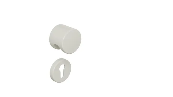 F21553_L.jpg