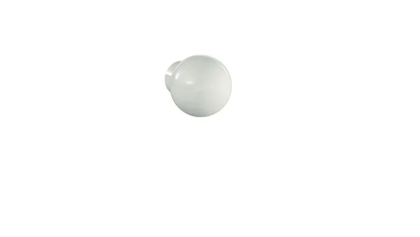 F21927_L.jpg