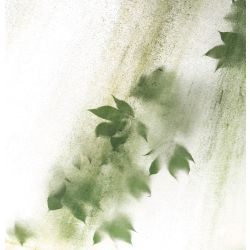 fototapeta Akwamaryna włóknina Waterproof GWW-090-069 Cień liści