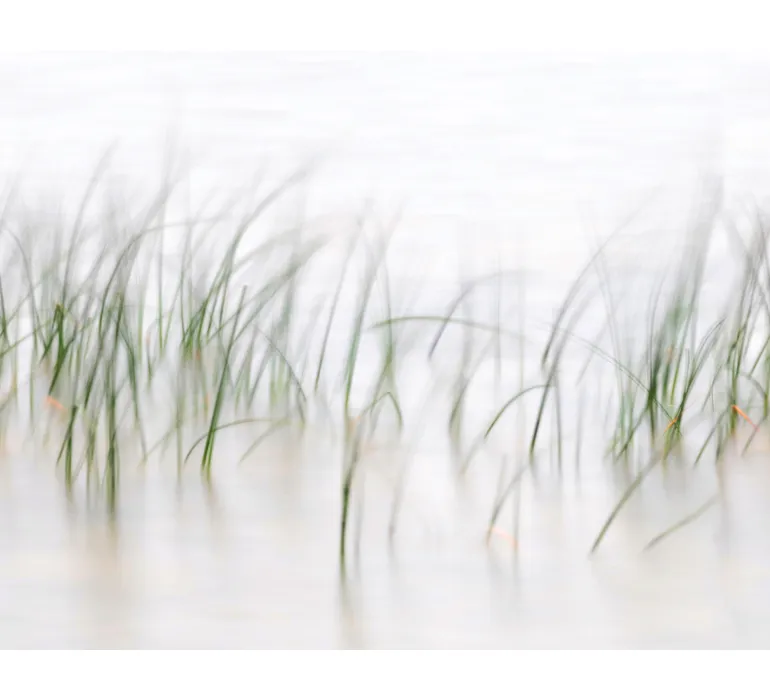 TAP Buchclub Aquamarin27 025 Strandhafer