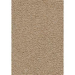 Teppichboden AMBRA 400cm Trend 026