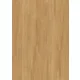Design Deluxe 555 Cycle 5380 Incredible Light Oak V4 mus