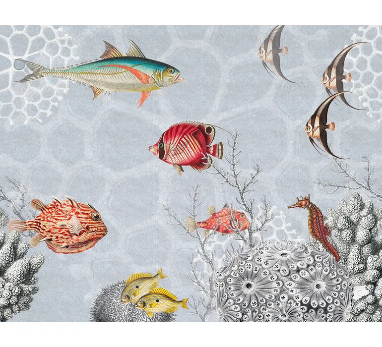 TAP Buchclub Aquamarin27 063 Haeckels Aquarium