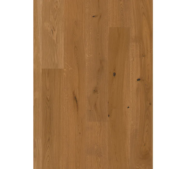 PAR Deluxe 527 Calgary LD E5421 Eiche caramel geb Villa V2 mus