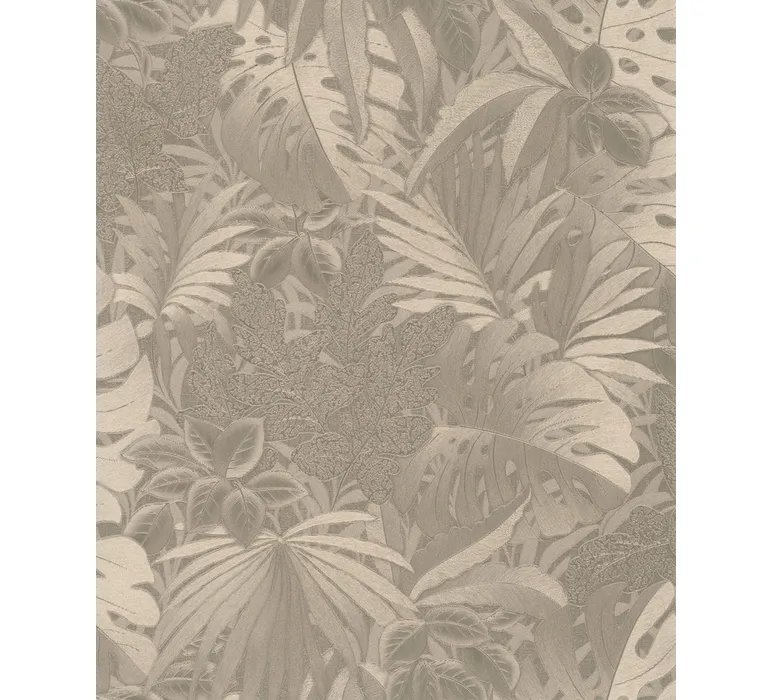 TAP Buchclub ClassicHomeV 22211