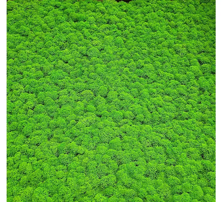 JOKA Moss Kachel Apfelgruen