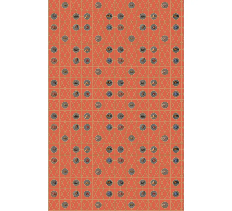 TAP Buchclub Aquamarin27 020 Little Creature orange