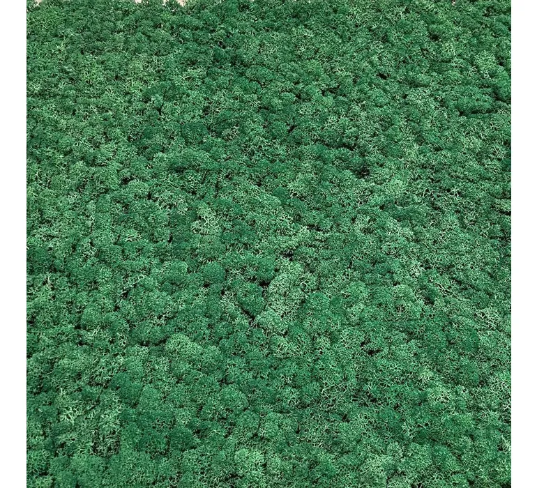 JOKA Moss Kachel Moosgruen