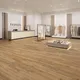 DES 555 5407 Blond Pine EIR rau