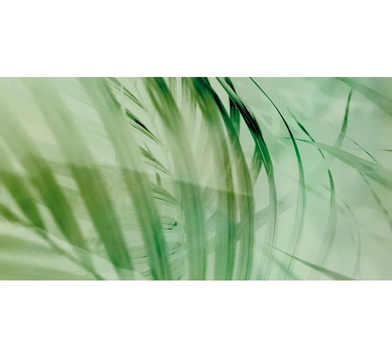 TAP Buchclub Aquamarin27 120 Abstract Botany