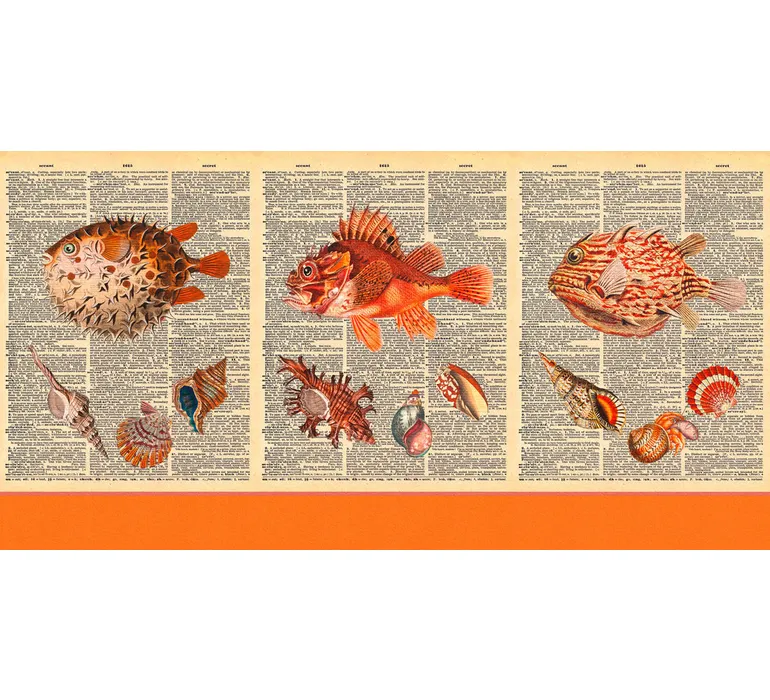 TAP Buchclub Aquamarin27 054 Lexikonfisch