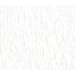 Tapete 20532 Patent Decor 2025 10,05 x 0,75 m