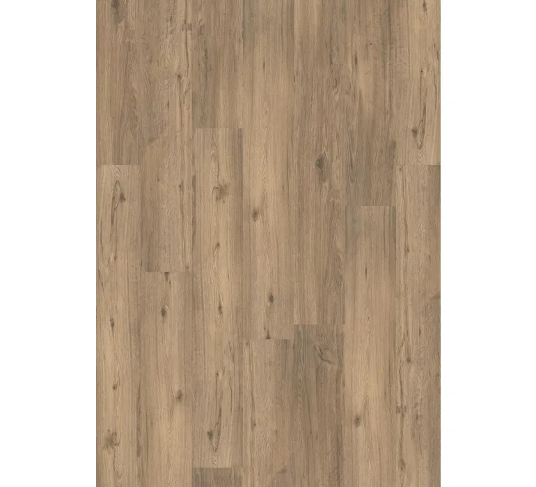 DES 555 5509 Spring Oak EIR mus