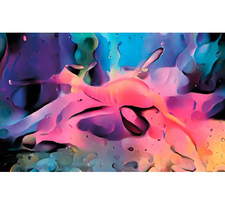 TAP Buchclub Aquamarin27 111 bubblehorse