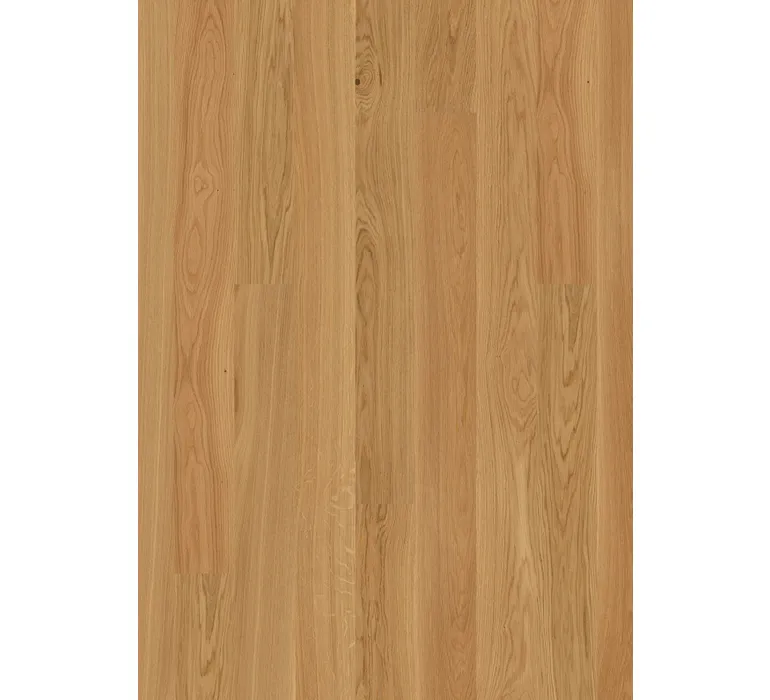 PAR Deluxe 527 Calgary LD E0903 Eiche geb Elegance V2 mus