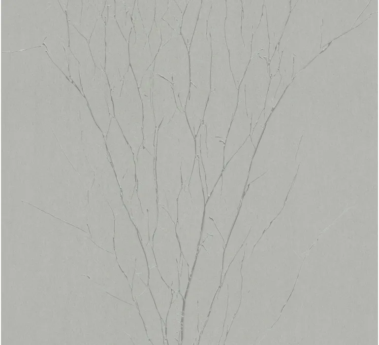 TAP Buchclub Art BordersIV 22398