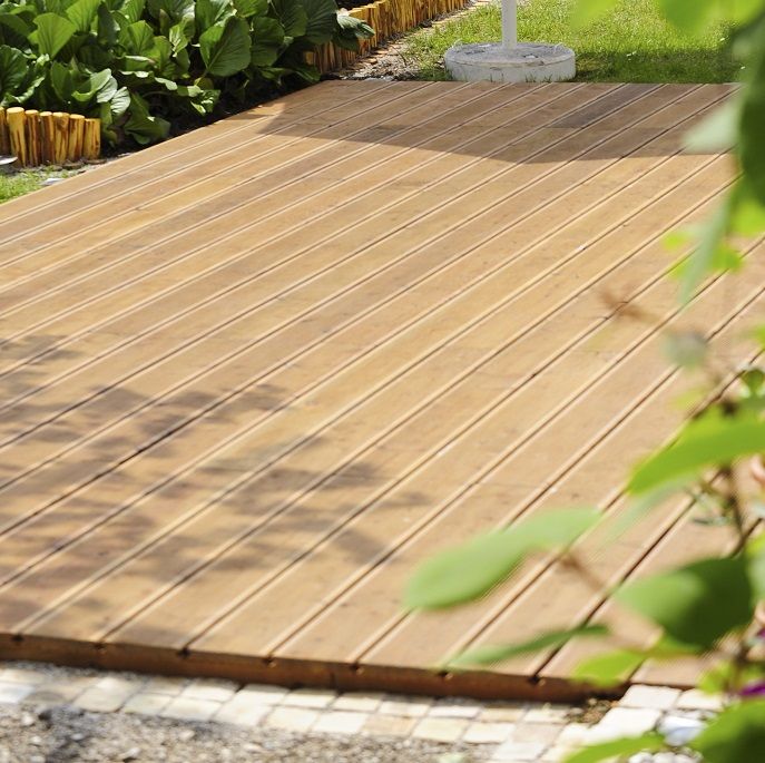 Kanadische Douglasie