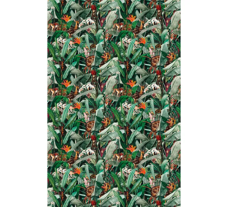 TAP Buchclub Aquamarin27 076 Tropenlope