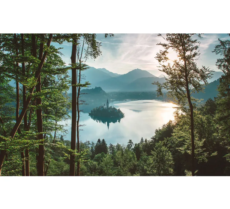 TAP Buchclub Aquamarin27 104 waldinsel