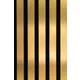 Paro Akustik Gold PAS110
