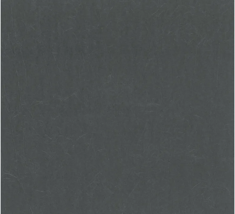 TAP Buchclub Art BordersIV 22396