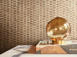 Evolution III Teaserbild 3