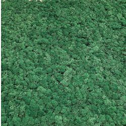 PARO AKUSTIK KACHEL MOOS auf 9 mm PET-Vlies 1 Stück/VPE