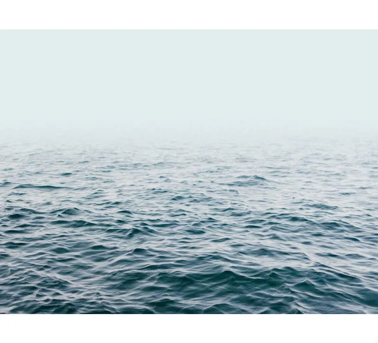 Tapete Murals II 25 EBD623 mus