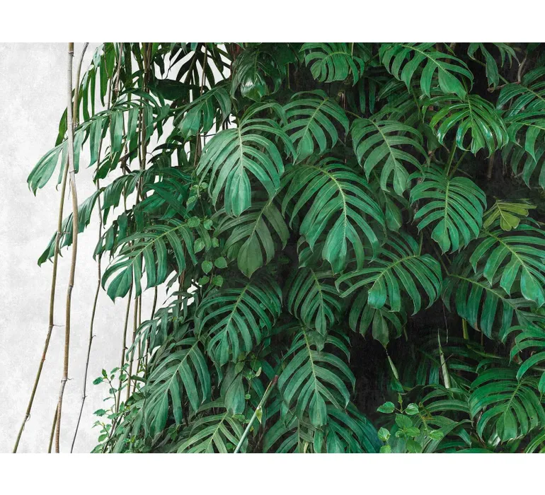 Tapete Murals II 25 EBD680 mus