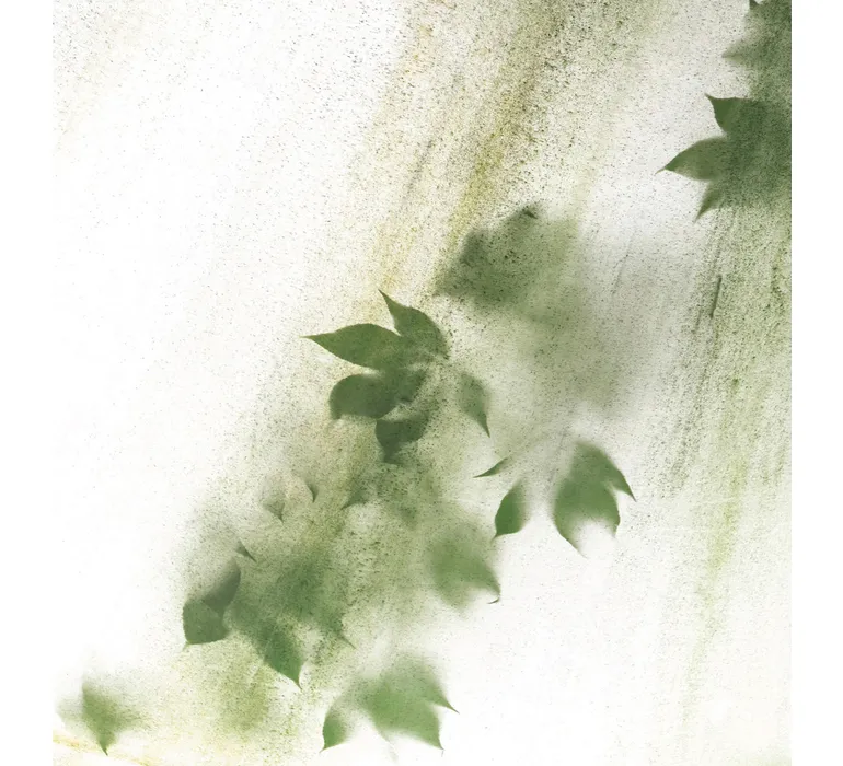 TAP Buchclub Aquamarin27 069 blaetter schatten