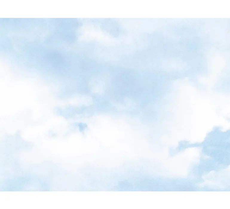 Tapete Murals II 25 EBD640 mus