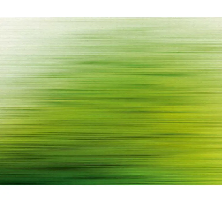 Tapete Murals II 25 EBD631 mus