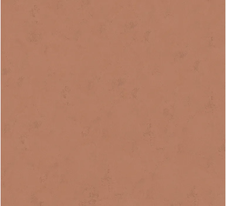 TAP Buchclub Art BordersIV 22323